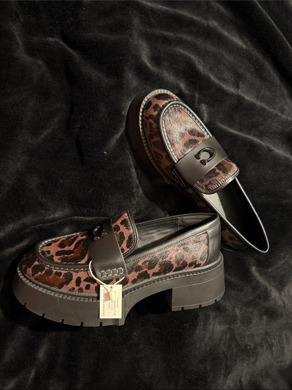 Coach Leopard Print Platform Loafers in Black and Brown